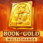 Book of Gold Multichance